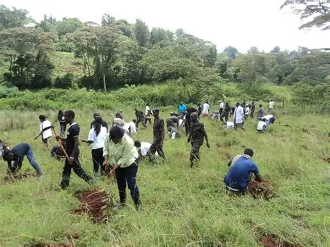 A large group of community members planting trees together in a grassy field.